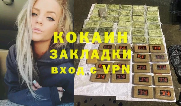 spice Богородицк