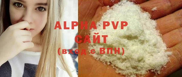 spice Богородицк