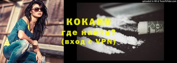 spice Богородицк