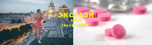 spice Богородицк