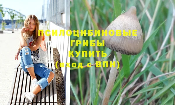МДМА Богданович
