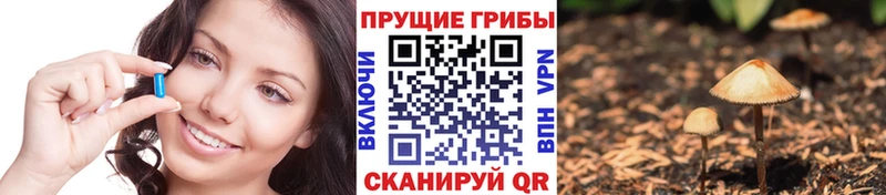 Галлюциногенные грибы Magic Shrooms  нарко площадка телеграм  Короча  mega маркетплейс 